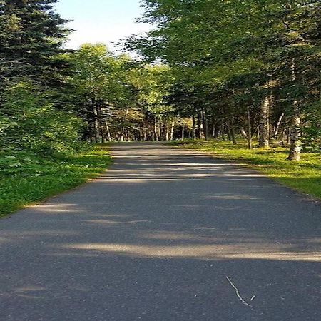 Moose Meadows- Near The Airport, Centrally Located Anchorage Zewnętrze zdjęcie